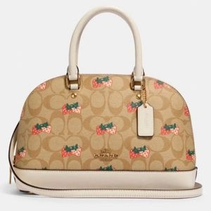 AUTHENTIC COACH Strawberry Mini Sierra Bag